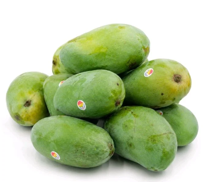 Chausa