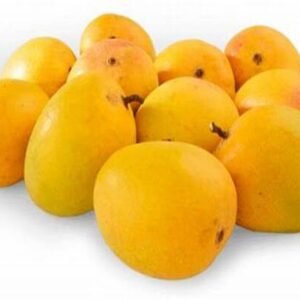 Mango Alphonso