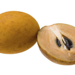 Chikko