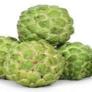 Custard Apple