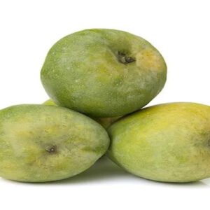 Salem Malgoa
